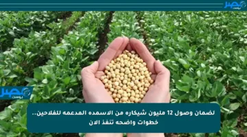 لضمان وصول 12 مليون شيكارة من الأسمدة المدعمة للفلاحين.. خطوات واضحة تنفذ الآن